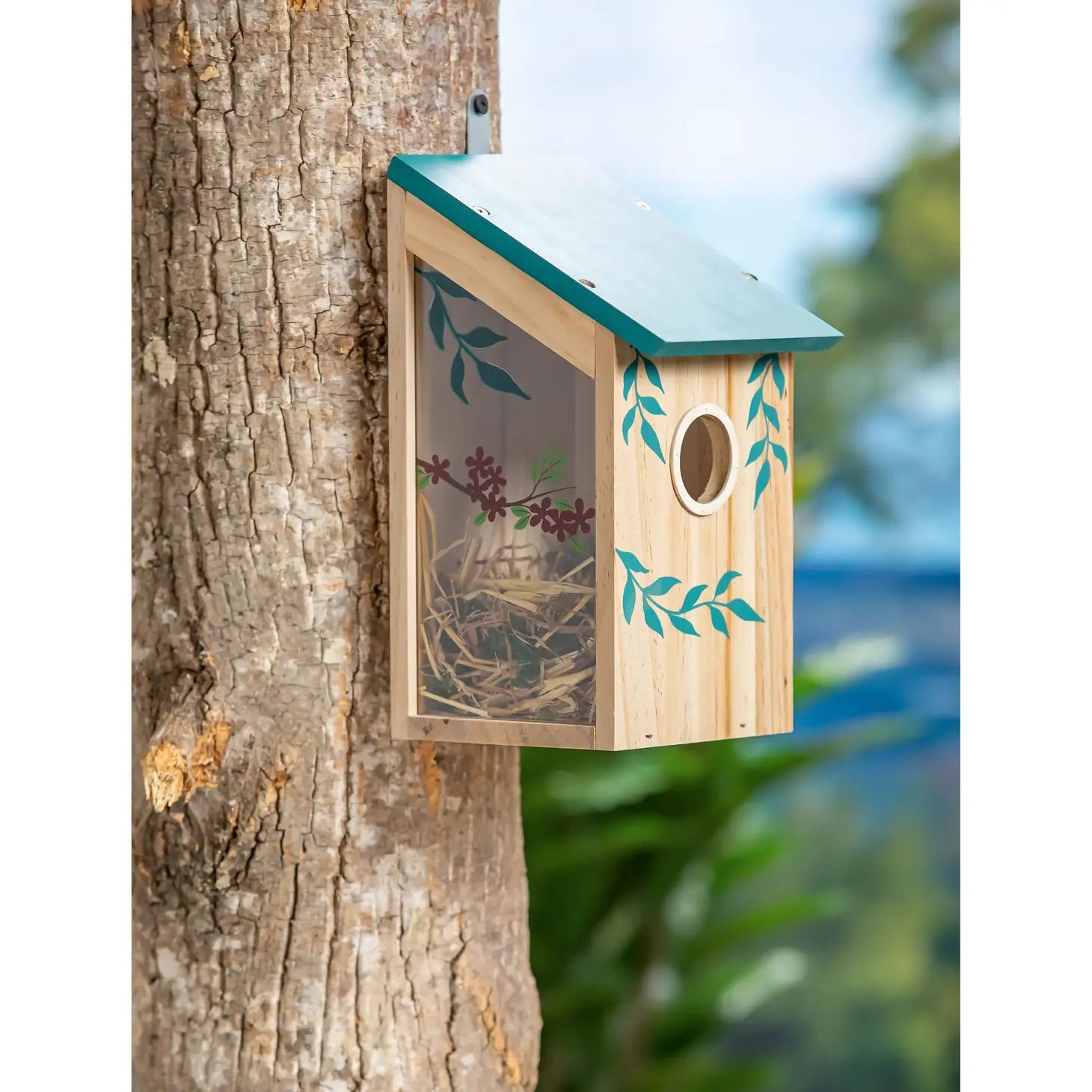 Bird House Side Viewing w/Red Flowers - Southern Agriculture 
