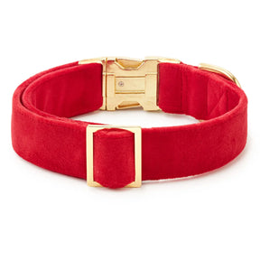 The Foggy Dog - Dog Collar Velvet Cranberry - Southern Agriculture 