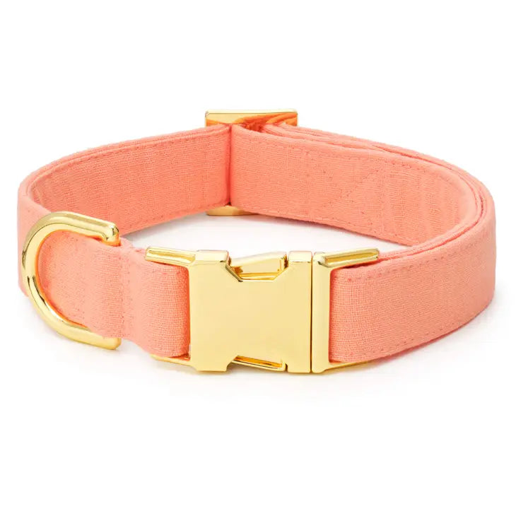 The Foggy Dog - Dog Collar Mango Spring