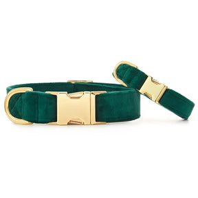 The Foggy Dog - Dog Collar Velvet Forest Green