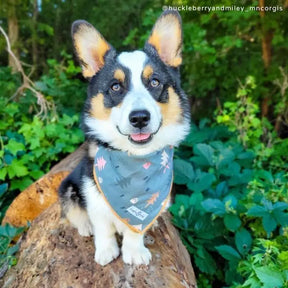 Lucy & Co - Bandana Take A Hike - Southern Agriculture 