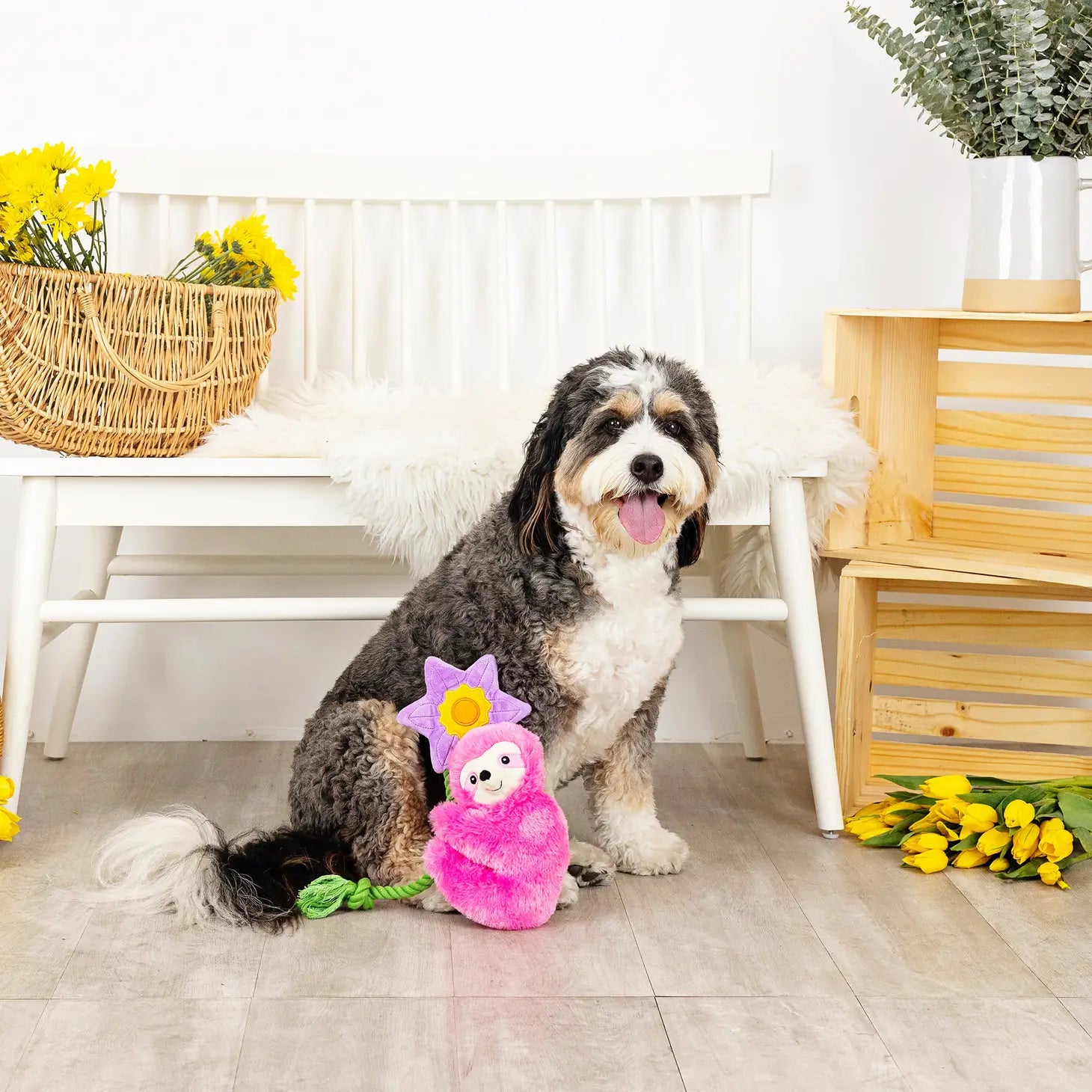 Petshop by Fringe Studio - Bloom Baby Bloom Dog Toy - Southern Agriculture 