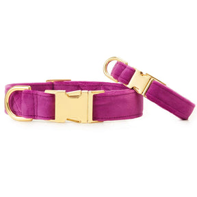 The Foggy Dog - Dog Collar Velvet Valentine's Day Plum
