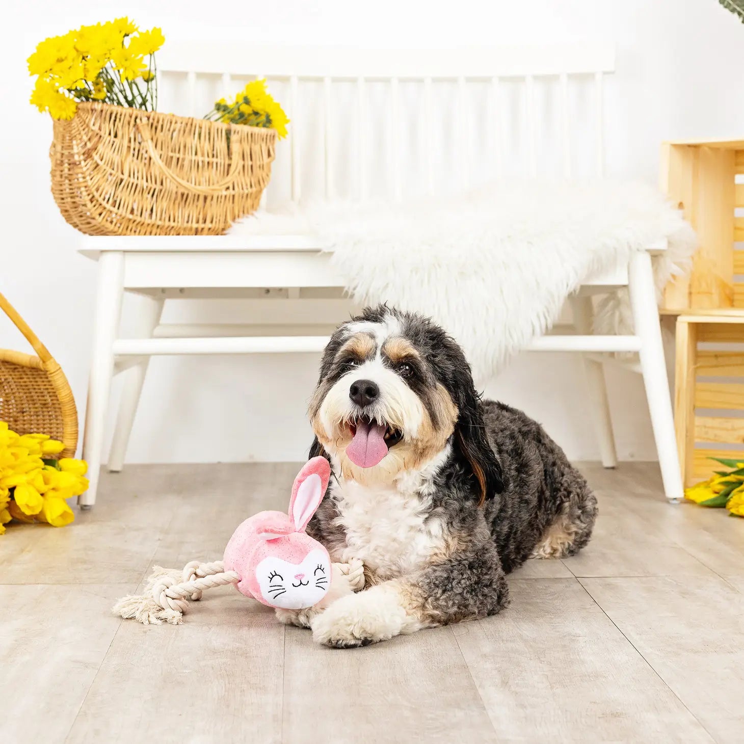 Petshop by Fringe Studio - No Bunny Compares Dog Toy Plush - Southern Agriculture 