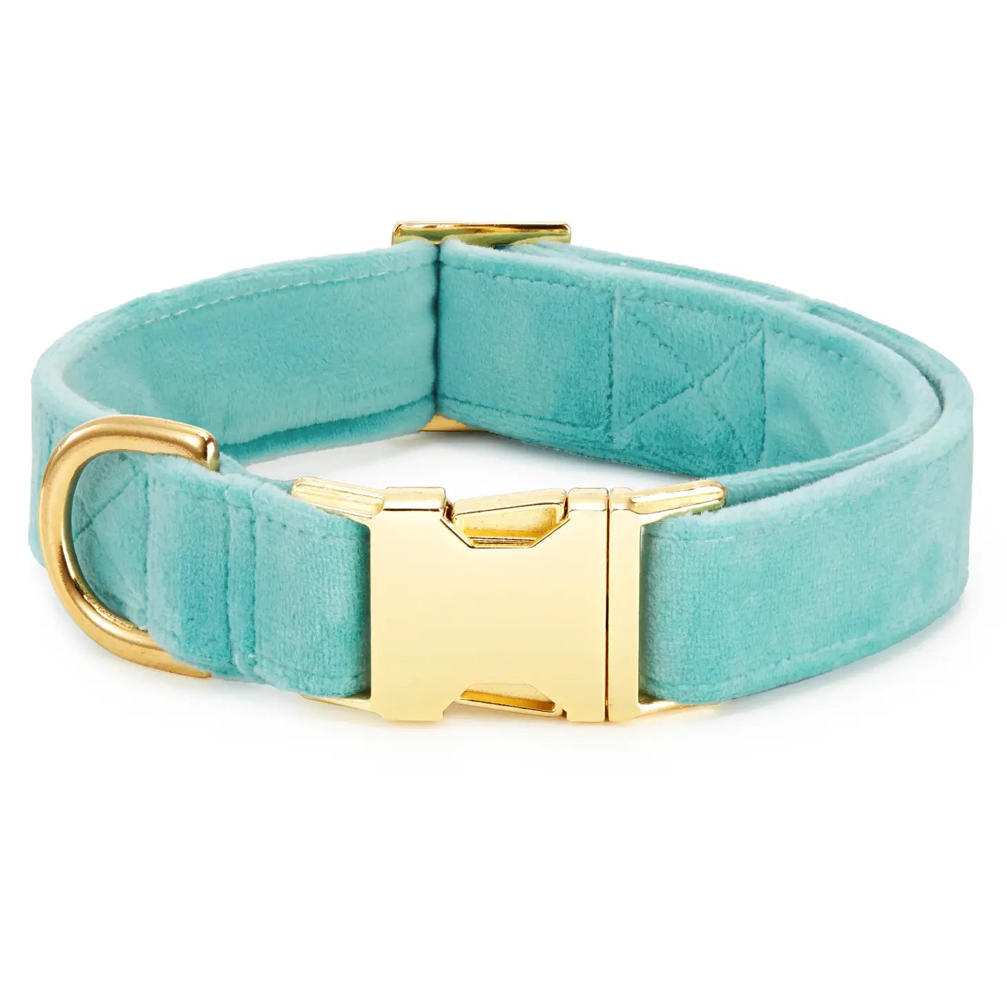 The Foggy Dog - Dog Collar Velvet Robin's Egg - Southern Agriculture 