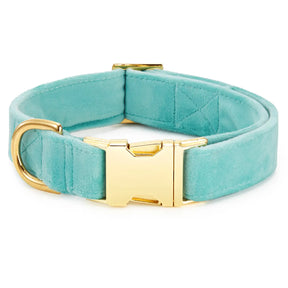 The Foggy Dog - Dog Collar Velvet Robin's Egg - Southern Agriculture 