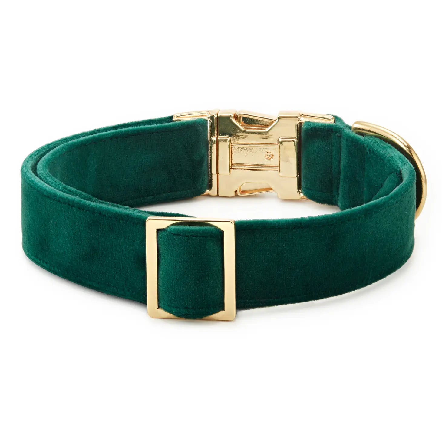 The Foggy Dog - Dog Collar Velvet Forest Green