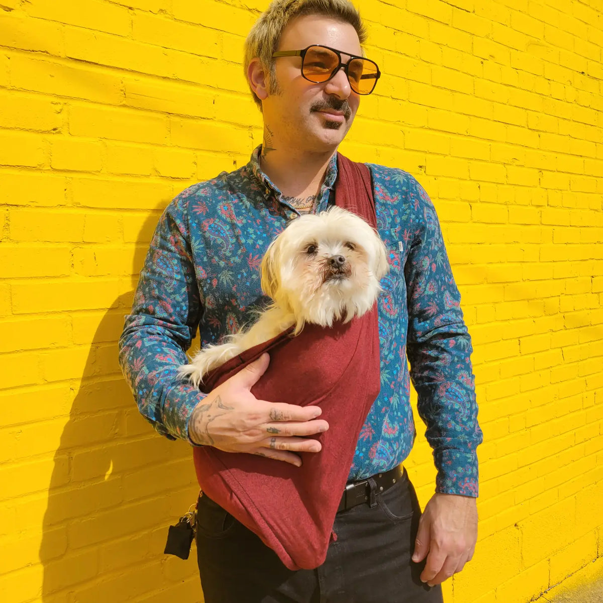 Walking Pet- Pet Sling Merlot