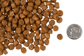 Fromm - Four-Star Nutritionals Chicken A La Veg Dry Cat Food - Southern Agriculture 