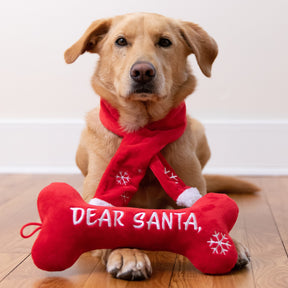 Huxley & Kent - Lulubelles Dear Santa Bone - Southern Agriculture 