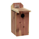 Heavy-Duty Bluebird House-Southern Agriculture