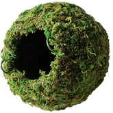 Mossy Cave-Southern Agriculture