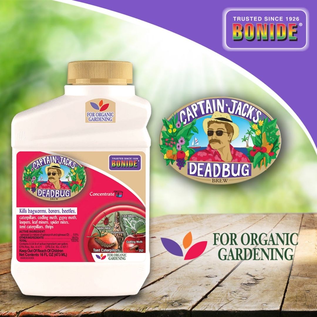 Bonide - Captain Jack's Deadbug Brew-Southern Agriculture