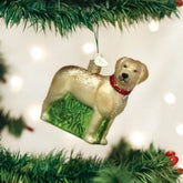 Old World Christmas - Yellow Lab Ornament-Southern Agriculture