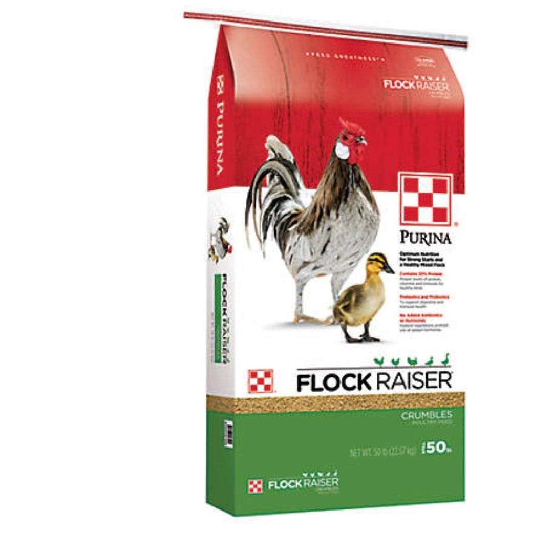 Purina - Flock Raiser Crumbles-Southern Agriculture