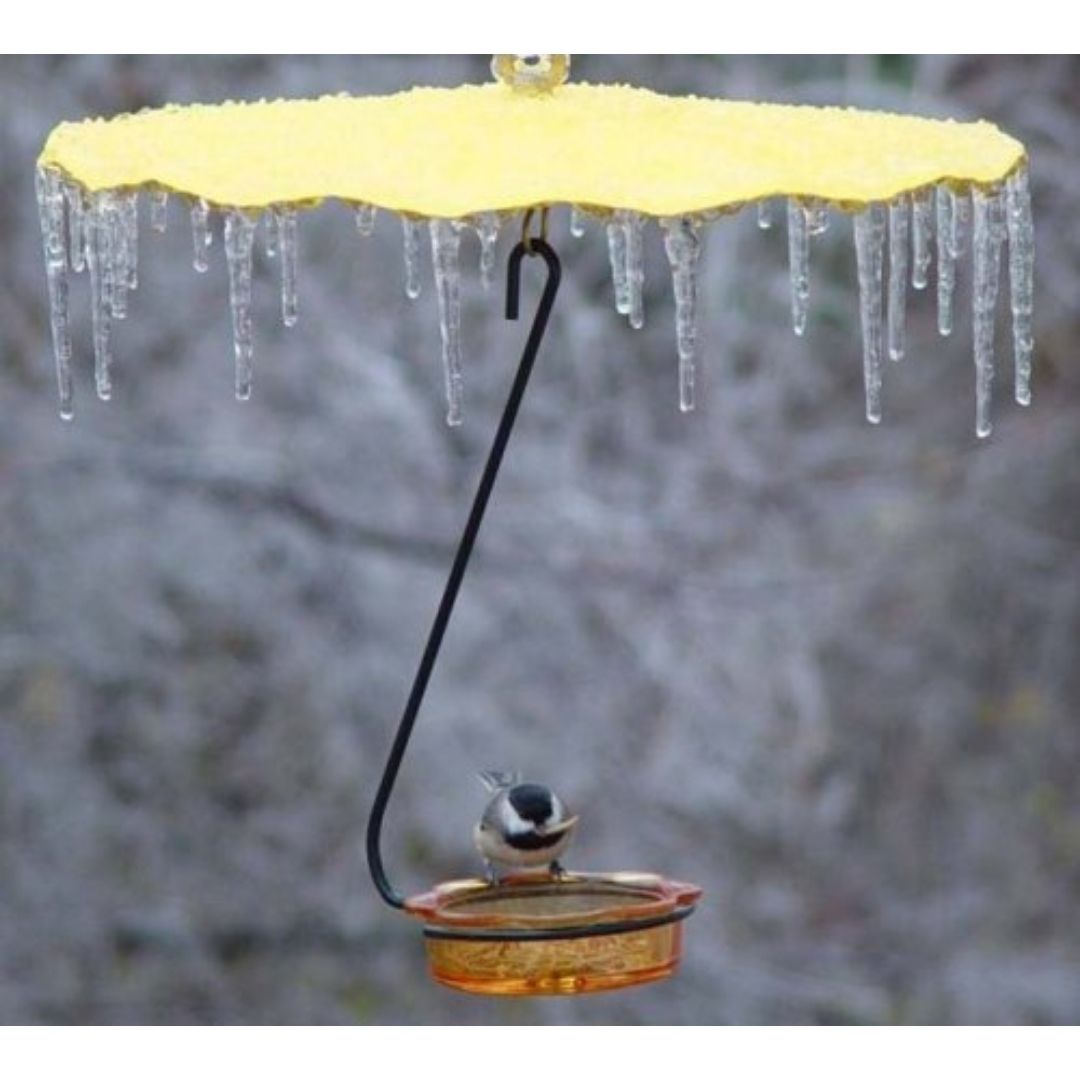 Erva Tools and Manufacturing - Rain Guard for Bird Feeders