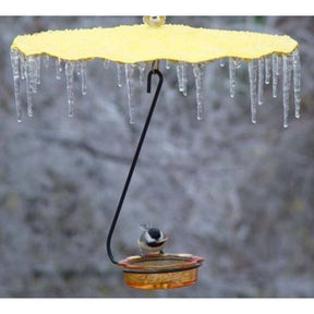 Erva Tools and Manufacturing - Rain Guard for Bird Feeders