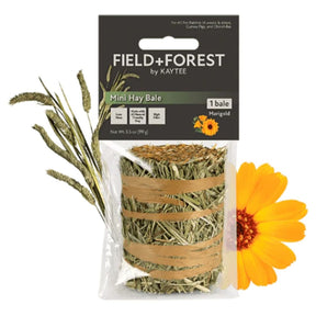 Kaytee - Field+Forest Carrot Mini Hay Bale