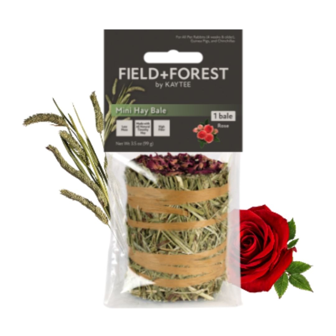 Kaytee - Field+Forest Carrot Mini Hay Bale