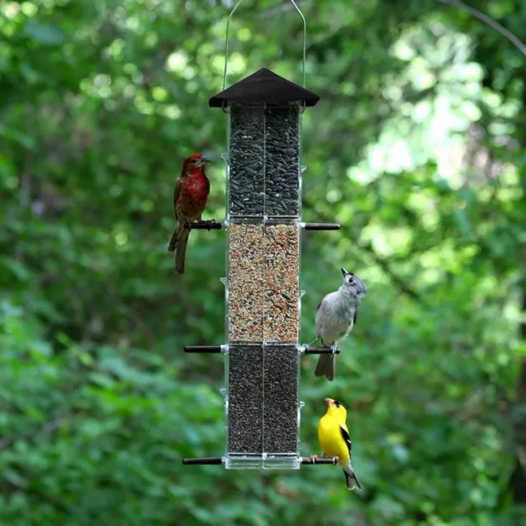 Perky Pet - Evenseed Silo Wild Bird Feeder