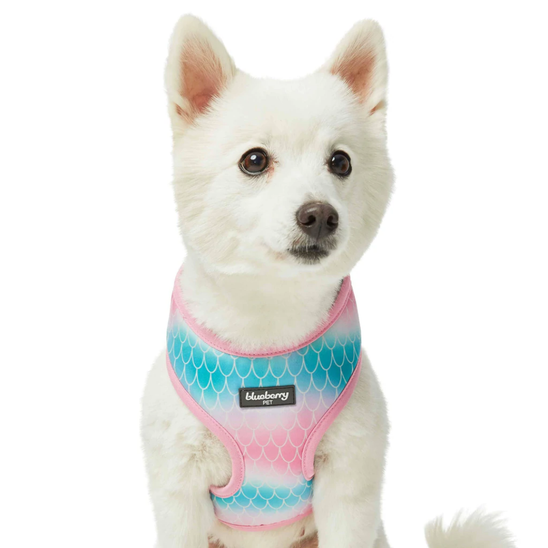 Blueberry Pet - Mermaid Scales | Enchanting Sea Dog Harness Vest