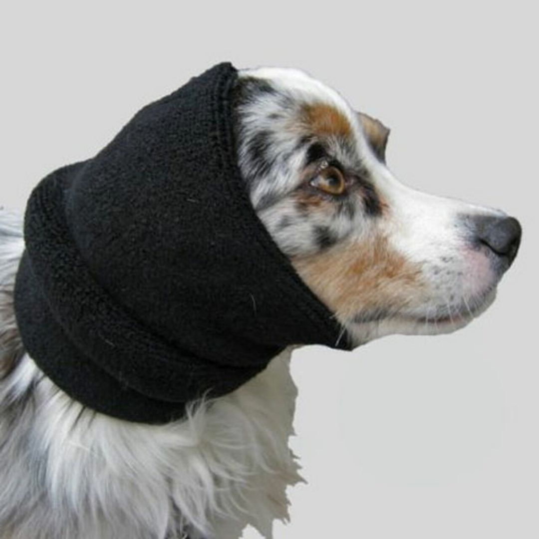 Cherrybrook - Happy Hoodie for Dogs