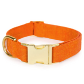 The Foggy Dog - Satsuma Orange Dog Collar