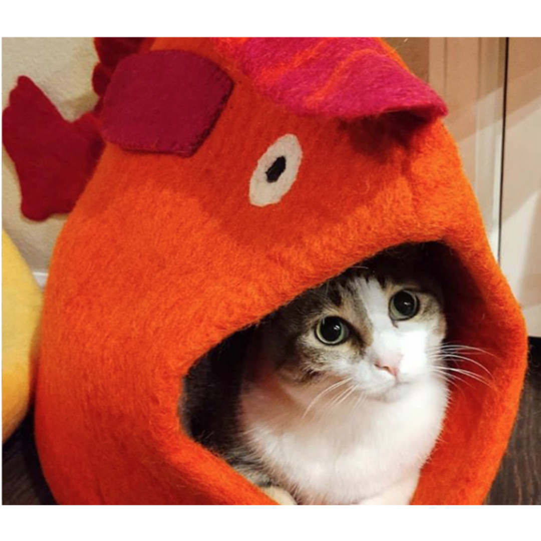 Dharma Dog Karma Cat - Pet Cave Fish