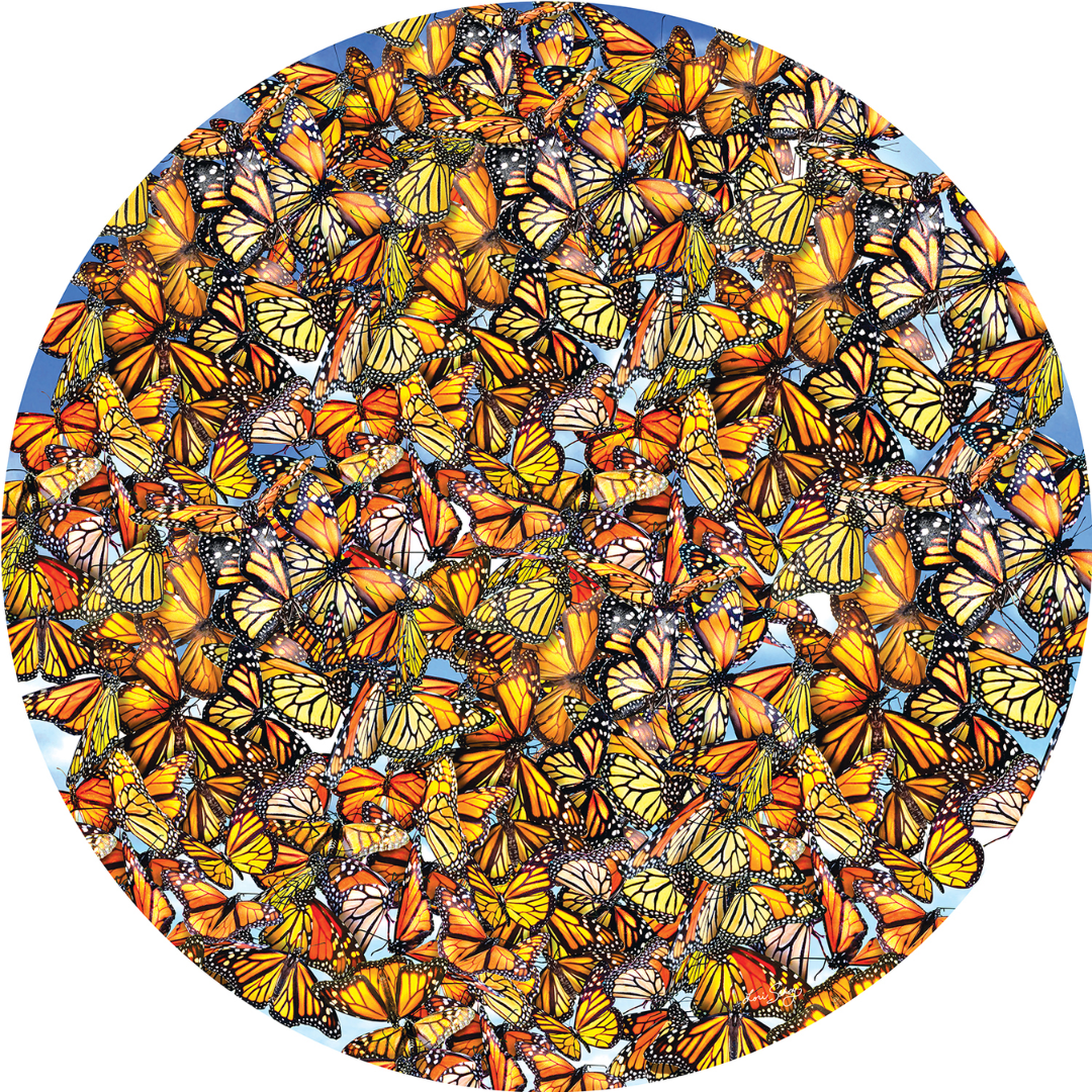 Sunsout - Monarch Frenzy Puzzle
