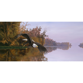 Sunsout - Lake Patrol Puzzle