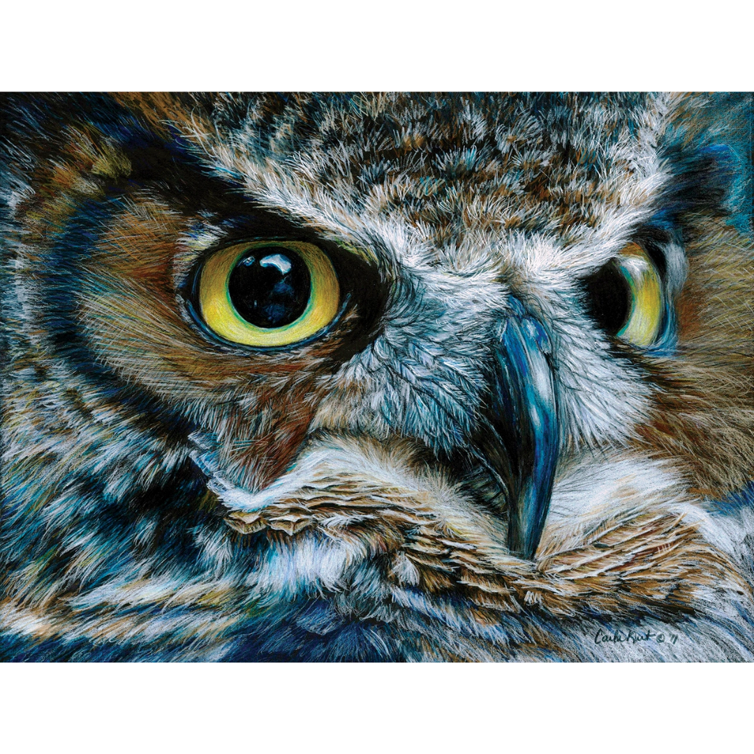Sunsout - Dark Owl Puzzle