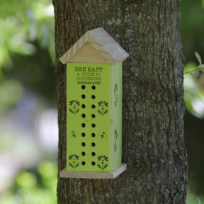 Evergreen Enterprises - Bee Habitat - Southern Agriculture 