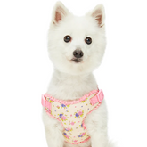 Blueberry Pet - Beige | Spring Balloon Flower Dog Harness - Southern Agriculture 
