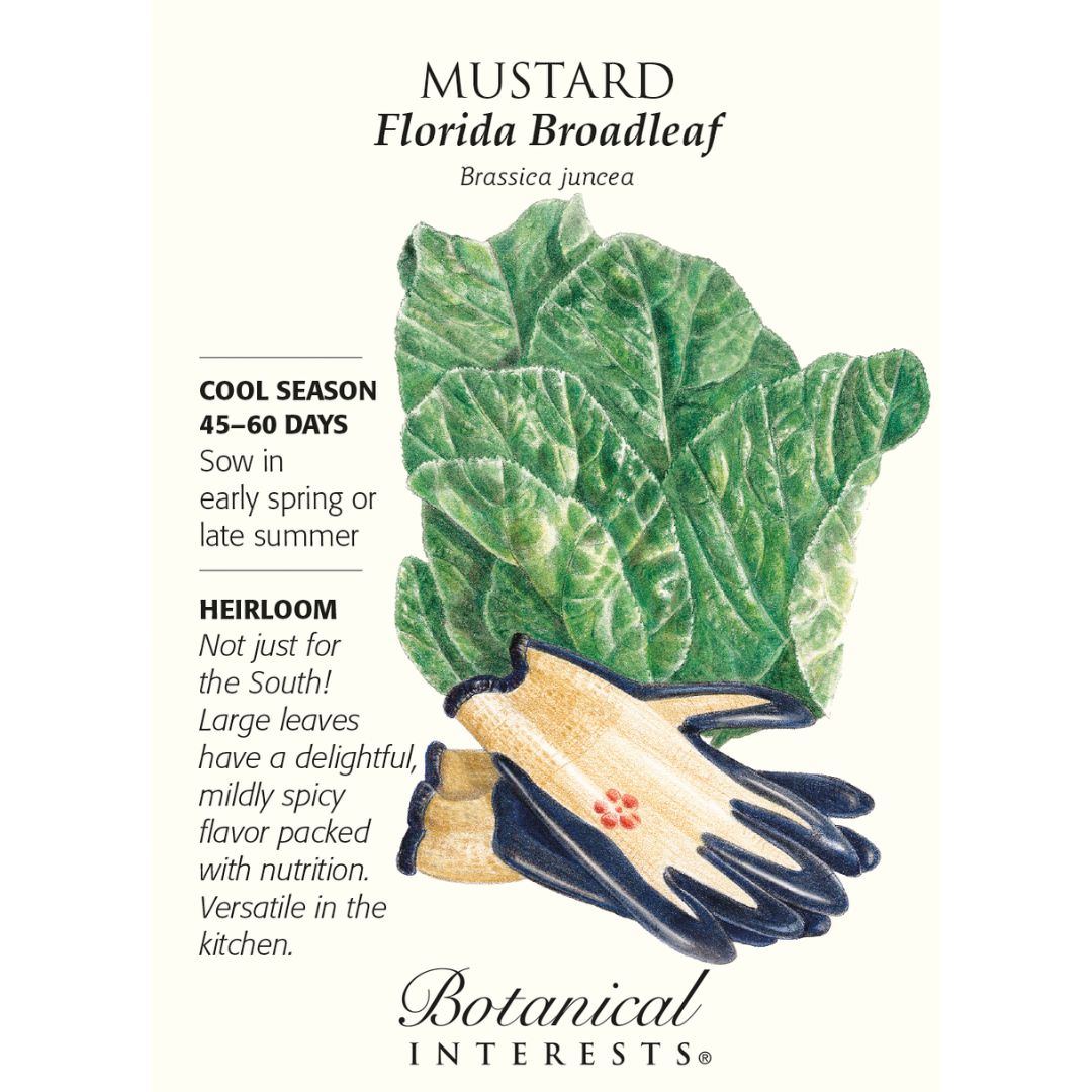 Botanical Interests, Inc. - Florida Broadleaf Mustard Seeds