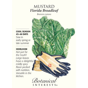 Botanical Interests, Inc. - Florida Broadleaf Mustard Seeds