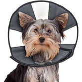 ZenPet ProCone Pet E-Collar for Dogs and Cats - Southern Agriculture 