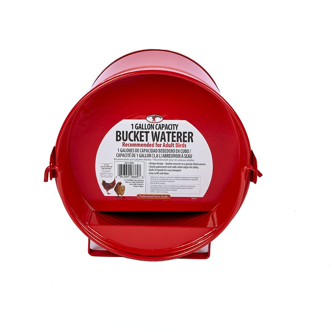 Miller Manufacturing - Painted Galvanized Bucket Waterer for Poultry