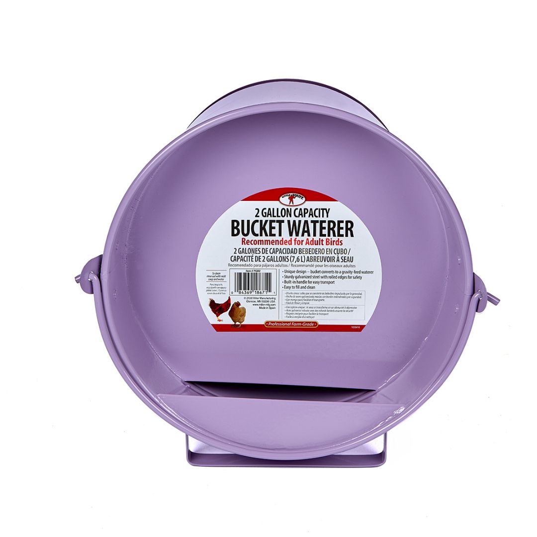 Miller Manufacturing - Painted Galvanized Bucket Waterer for Poultry