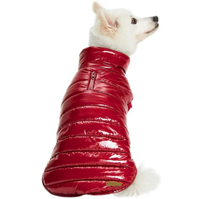 Blueberry Pet - Burgundy | Dog Puffer Jacket