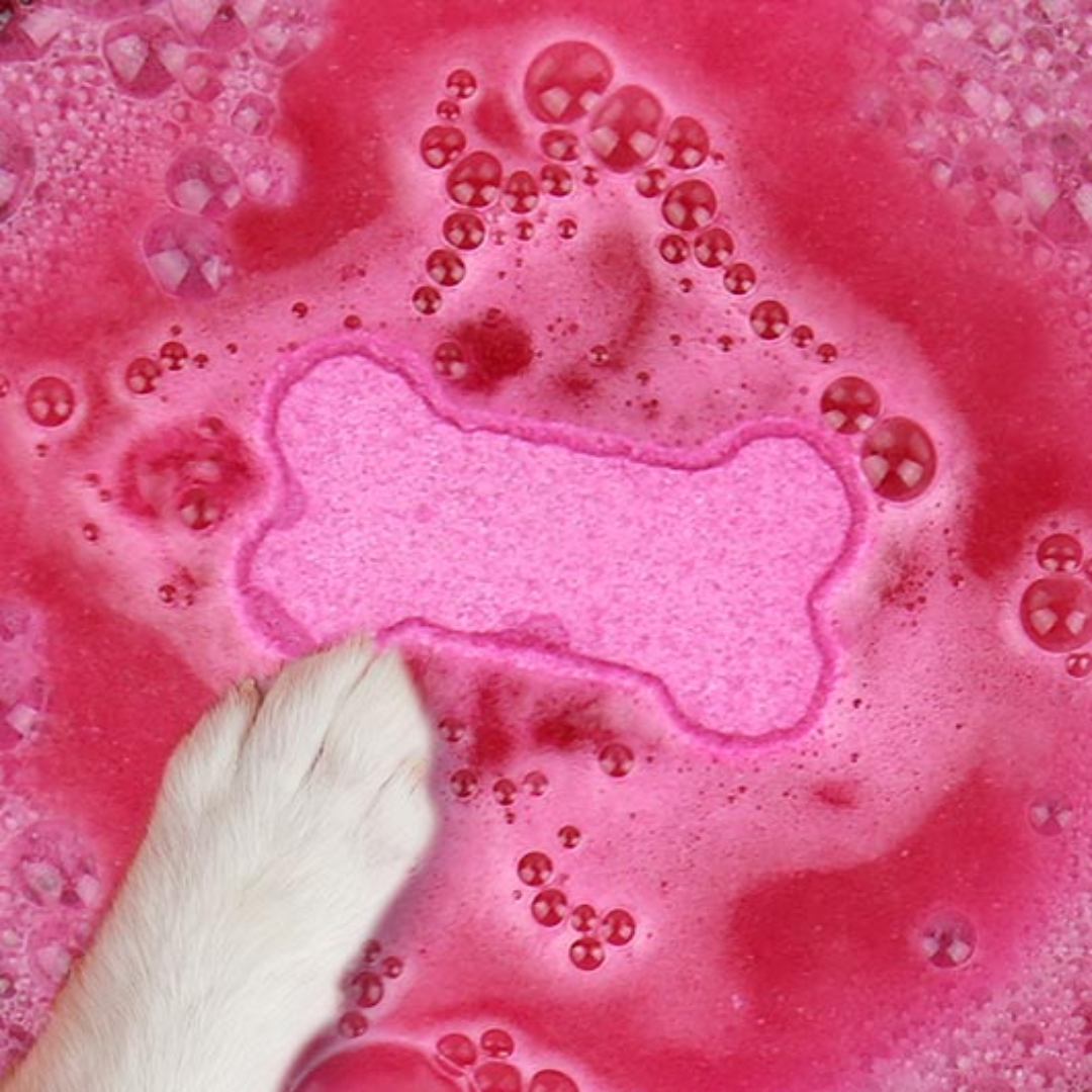 Gift Republic - Doggie Bath Bomb