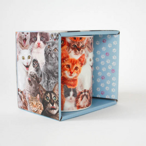 Gift Republic - Crazy Cat Lady Mug