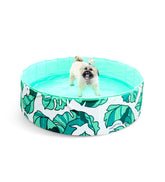 Dog Pool That's Banana(leave)s - Southern Agriculture 