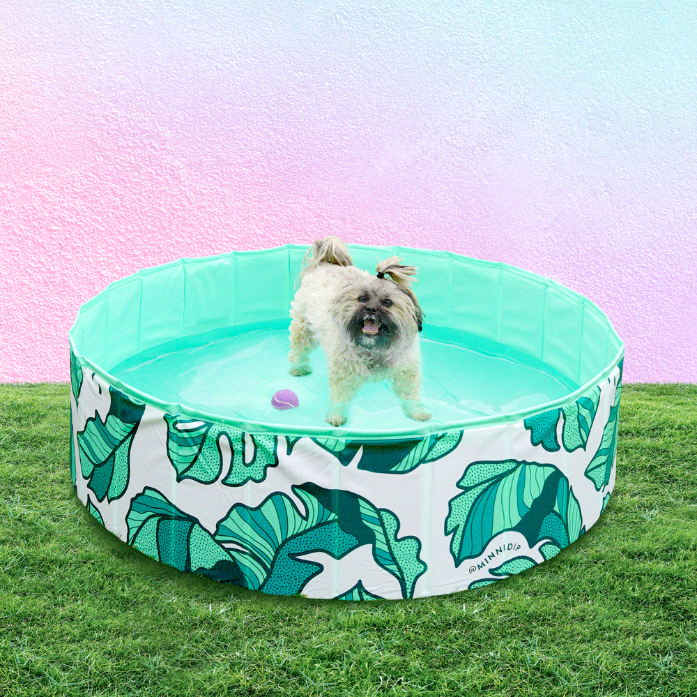 Dog Pool That's Banana(leave)s - Southern Agriculture 