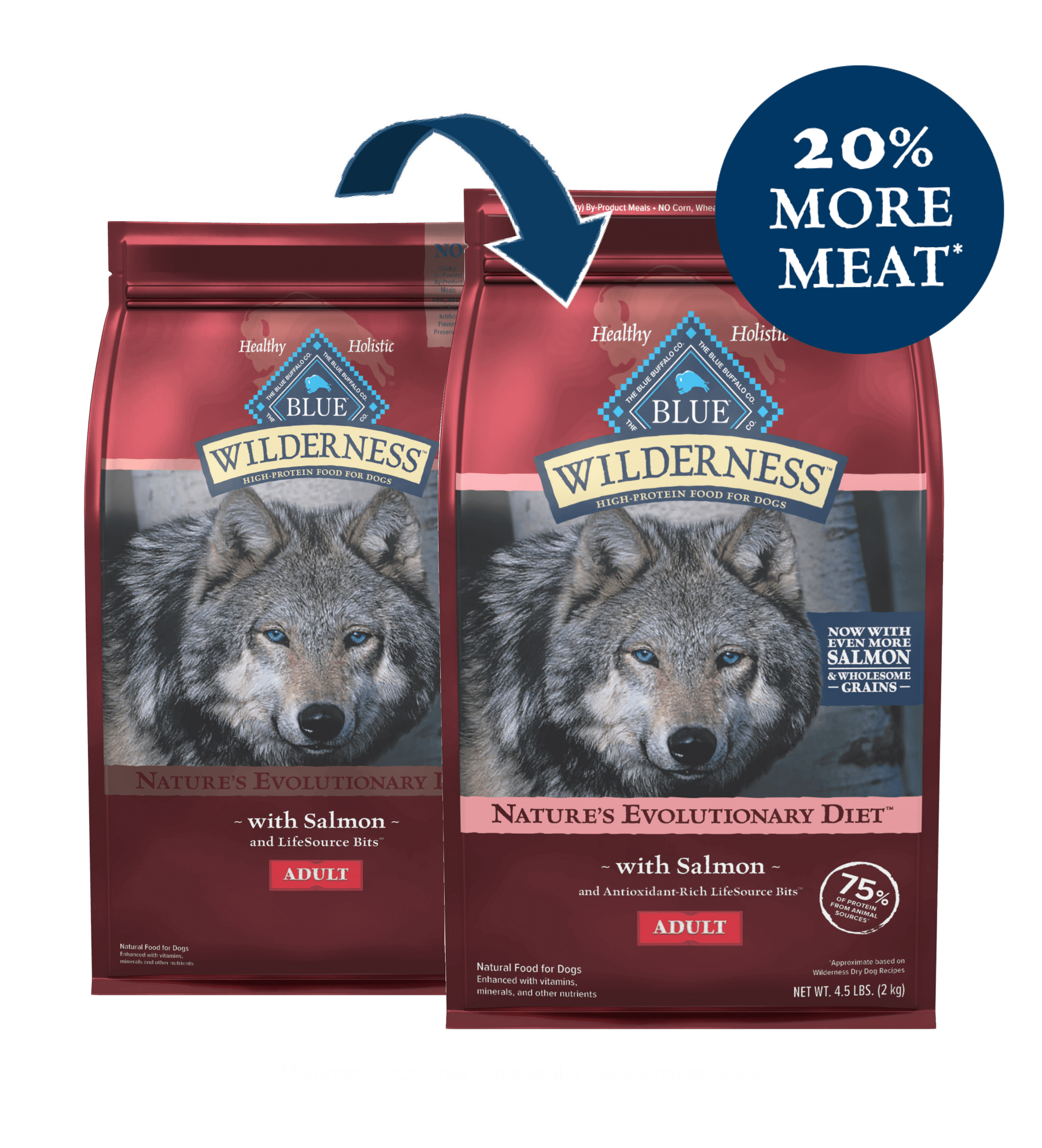 Blue Buffalo Wilderness - Adult Dog Salmon Recipe Dry Dog Food - Southern Agriculture 