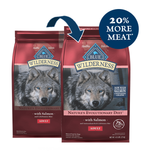 Blue Buffalo Wilderness - Adult Dog Salmon Recipe Dry Dog Food - Southern Agriculture 