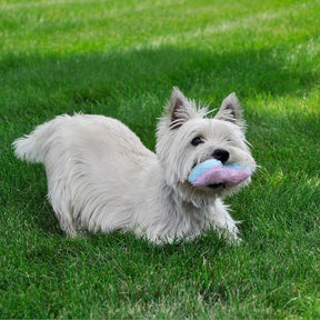 Coastal - Fleece Dog Toy - Southern Agriculture 