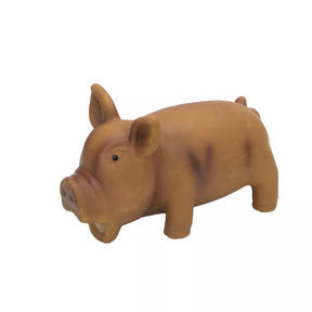 Coastal - Pig Grunting Latex Dog Toy