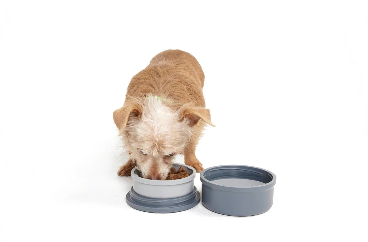 Kindtail - Portable Bowl Set (Bowl &Lid)
