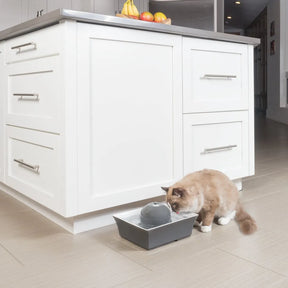 Pet Safe - Drinkwell Pet Fountain Seascape