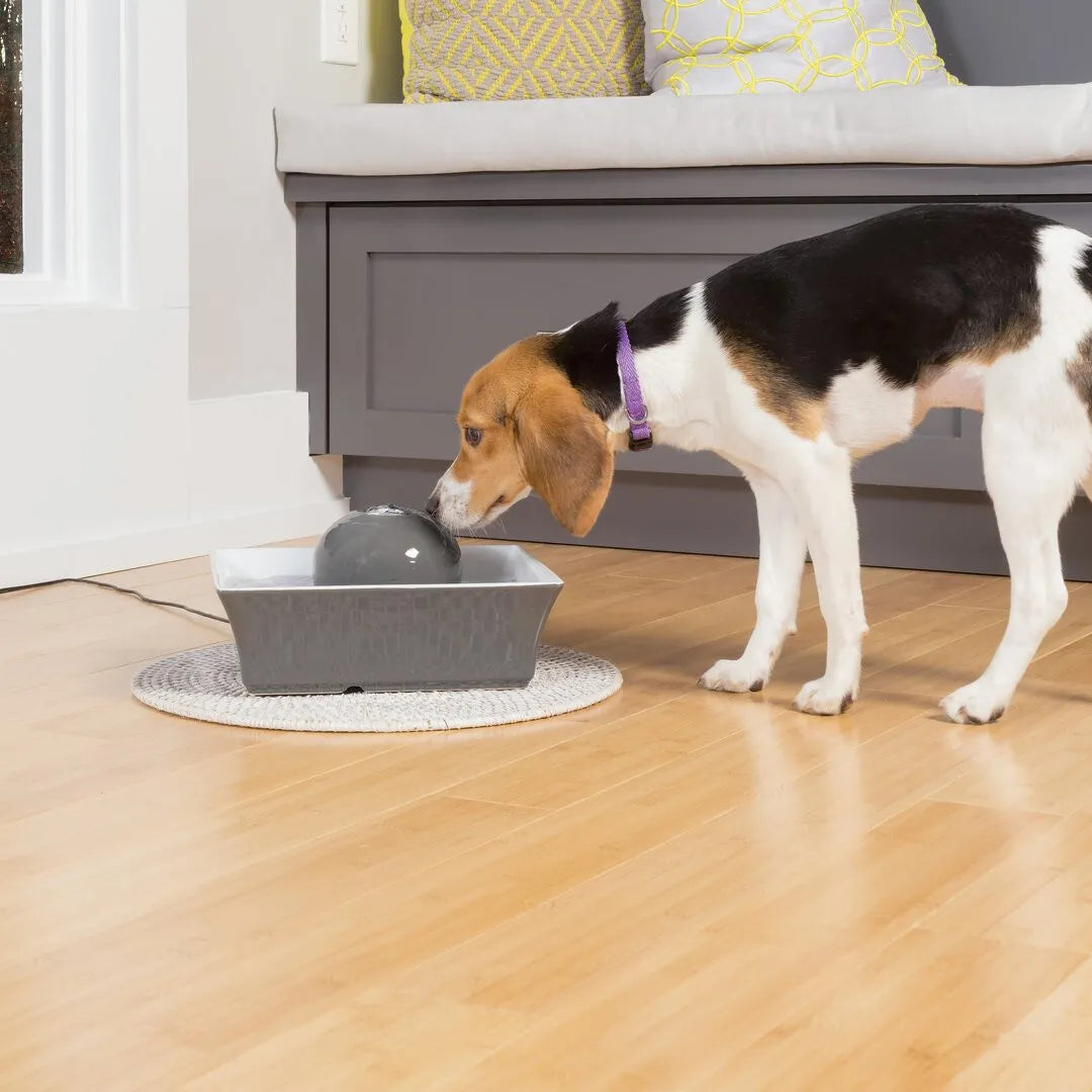 Pet Safe - Drinkwell Pet Fountain Seascape